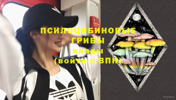 дживик Арсеньев