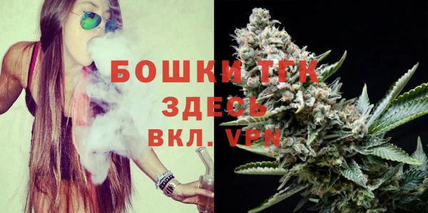 дживик Арсеньев