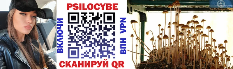 Галлюциногенные грибы MAGIC MUSHROOMS hydra ТОР Ростов